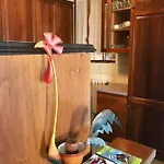 アパート Alba In Ca Delle Isole