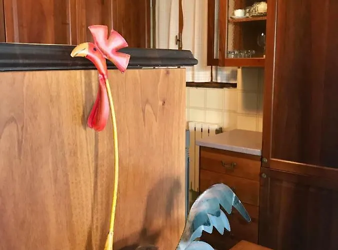 公寓 Alba In Ca Delle Isole